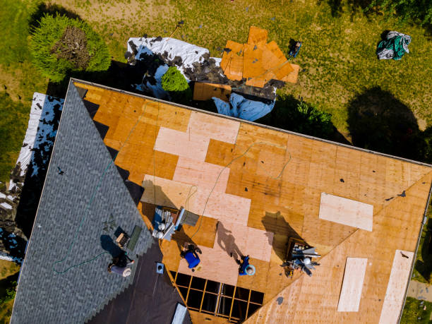 Roof Gutter Cleaning in Leland, NC