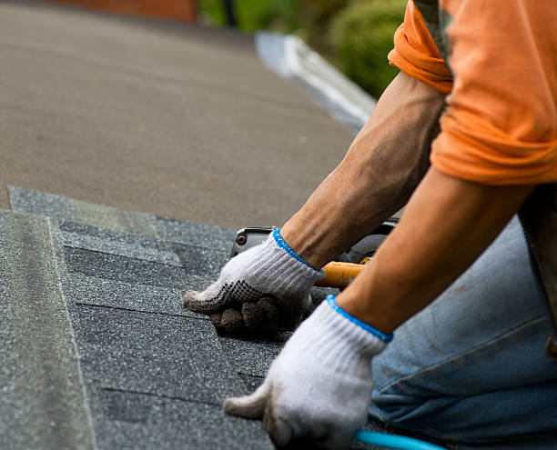 Best Roof Gutter Cleaning  in Leland, NC