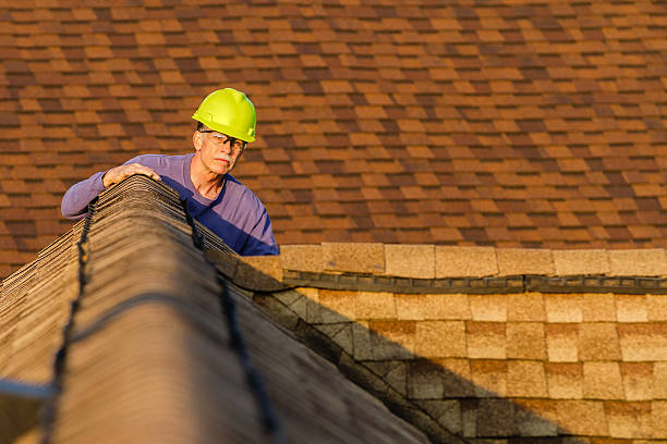 Best Roof Gutter Cleaning  in Leland, NC